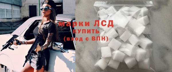 стаф Аркадак
