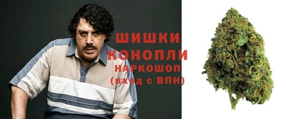 стаф Аркадак