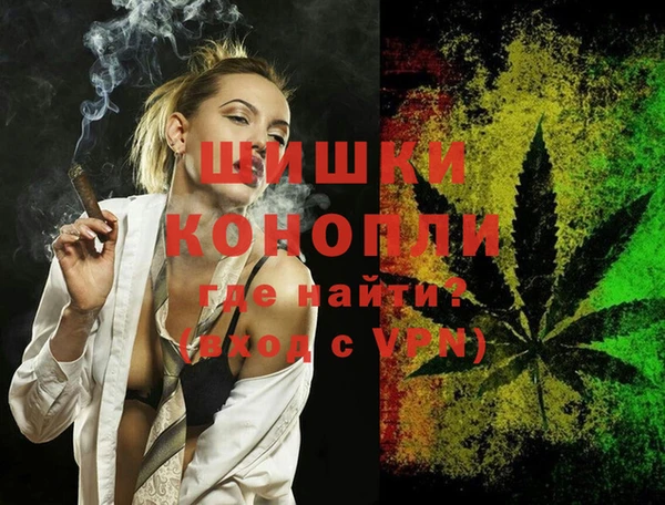 стаф Аркадак