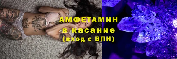 стаф Аркадак