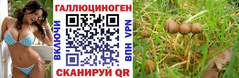 Галлюциногенные грибы мицелий  купить  сайты  Сольвычегодск 